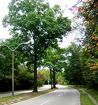 Neponset Valley Parkway, Metropolitan Park System of Greater Boston