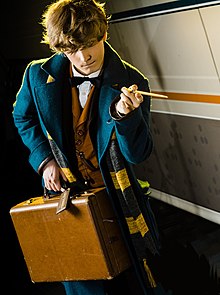 Newt Scamander.jpg