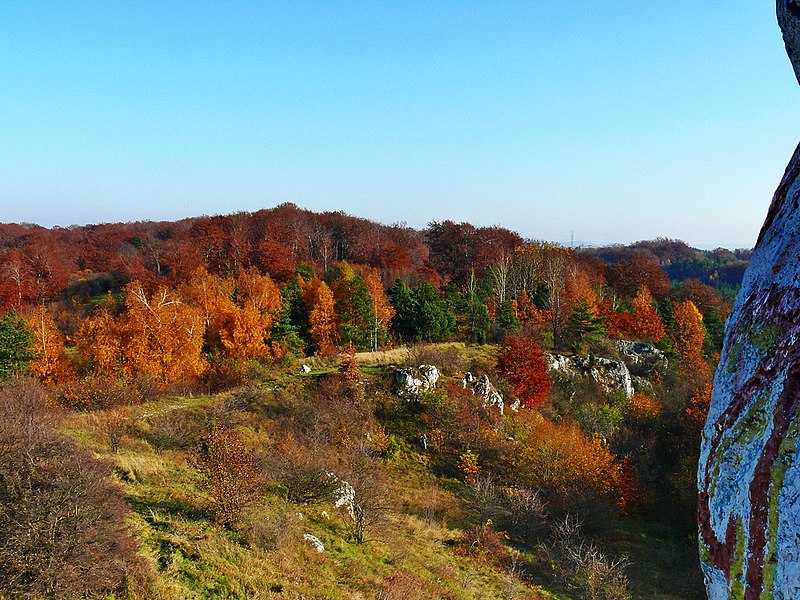 File:Niegowonice - Jura Krakowsko Częstochowska - panoramio.jpg