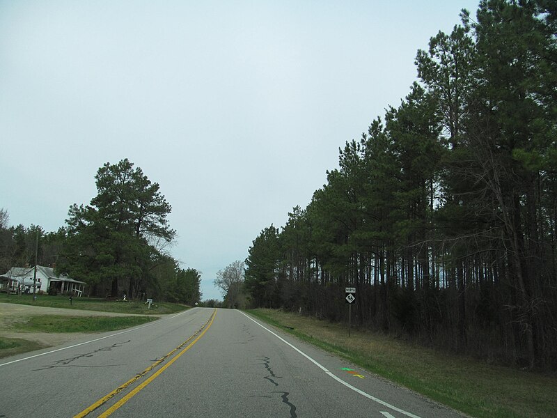 File:North Carolina State Highway 96 - 14715951236.jpg