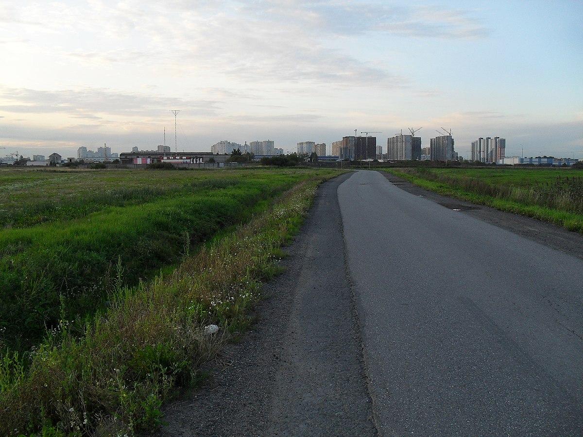 Новгородский проспект (Шушары) — Википедия