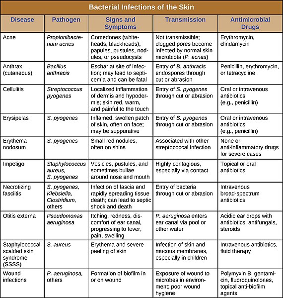 File:OSC Microbio 21 02 DPSkinInfe.jpg