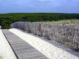 La dune de la Côte d’Argent à Mimizan dans les Landes, et la forêt des Landes (France). (définition réelle 2 048 × 1 536)