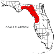 Location of the Ocala Platform within Florida (in red). Ocala Platform map 600.png