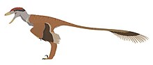 Hypothetical life restoration as a dromaeosaur Ojo Alamo cf. Richardoestesia sp profile reconstruction.jpg