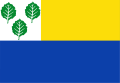 Vlag van Oldebroek (nog in gebruik)