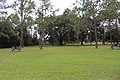 Olustee Battlefield and cannons