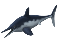 Ophthalmosaurus icenicus updated reconstruction.png
