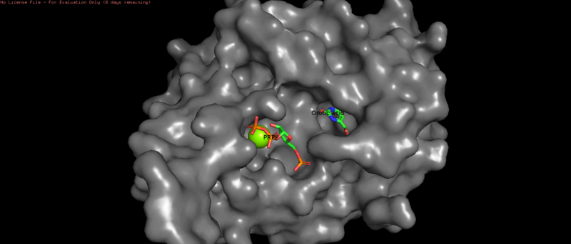 File:Orotate Phosphoribosyltransferase zoomed out.png