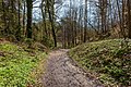 English: Forest hiking trail Deutsch: Waldwanderweg