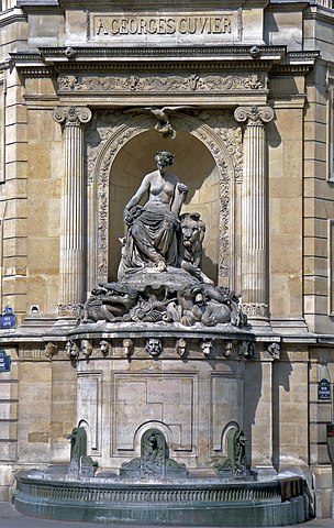 The Cuvier Fountain