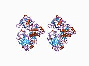 PDB 1ca4 EBI.jpg