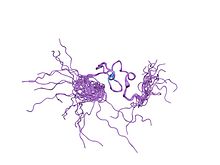 PDB 1wfp EBI.jpg