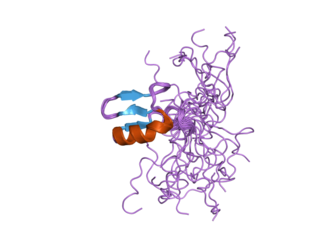 <span class="mw-page-title-main">CHD7</span> Protein-coding gene in the species Homo sapiens