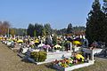 * Nomination Municipal cemetery in Mielec --Kroton 06:15, 26 May 2016 (UTC) * Promotion Good quality. --Poco a poco 08:20, 26 May 2016 (UTC)