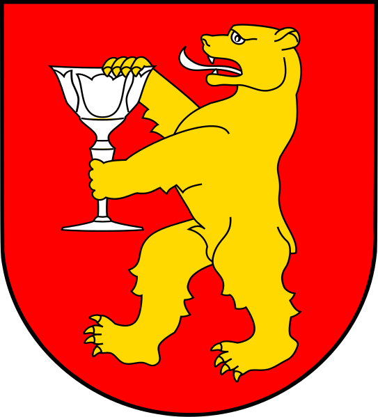 File:POL Stronie Śląskie COA.svg