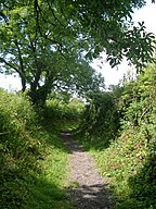 John Musgrave Memorial path, Devon, England