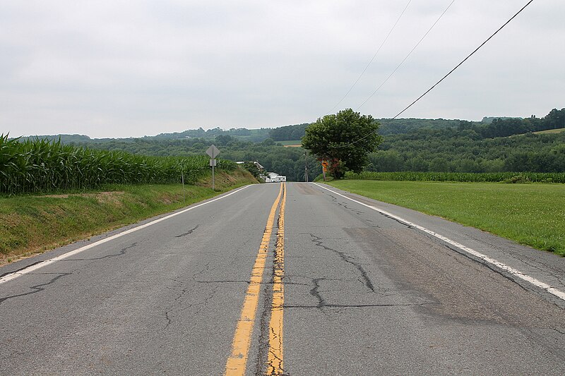 File:Pennsylvania Route 44 in Madison Township, Columbia County, Pennsylvania.JPG