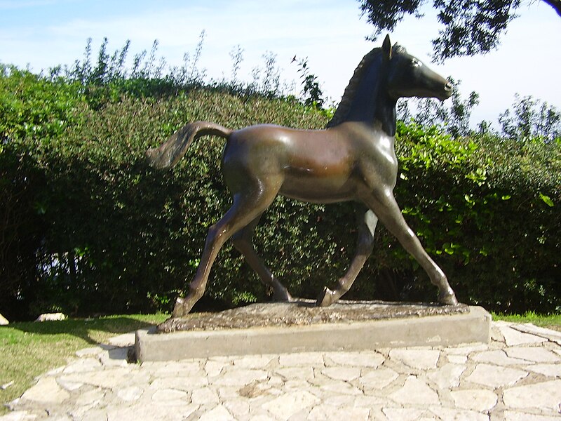File:PikiWiki Israel 6619 a horse by ursula malbin.jpg
