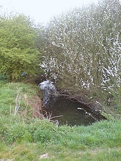 Pingle Brook PingleBrook.jpg