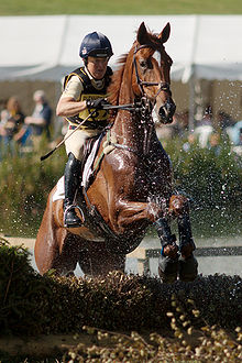 Pippa funnell redesigned ducks nest blenheim 2009.jpg