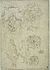 Pisanello - Codex Vallardi 2278.jpg