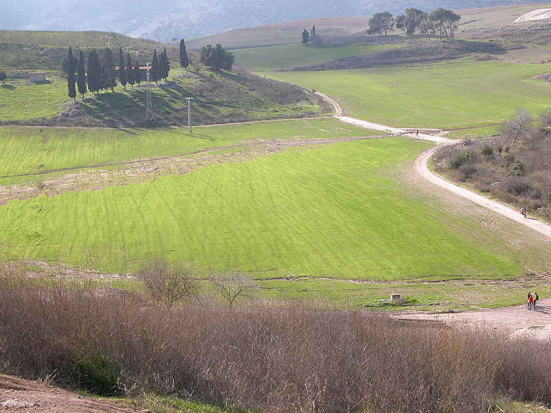 File:Plain of ramot menasseh.jpg