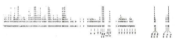 Photo plate obtained for the OKLO 311 sample by spark mass spectrometry analysis and which reveals all the isotopes present in the sample. Plaque spectro de masse OKLO 311.jpg