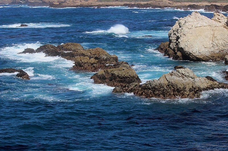 File:Point Lobos 14.JPG