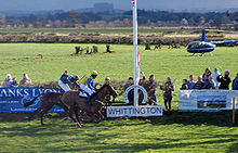 Two horses racing to the finish Pointopointfinish.jpg