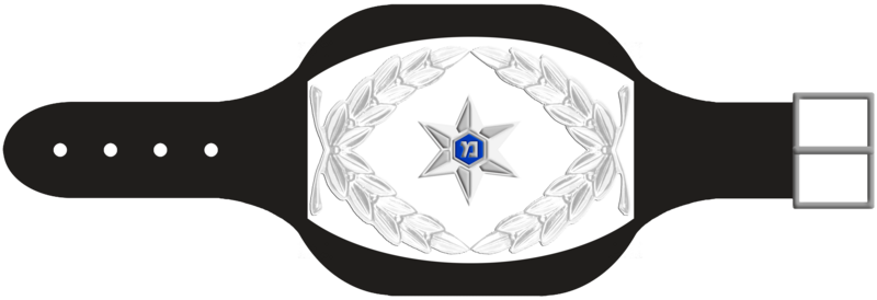 קובץ:Police-NCO-1980-4.png