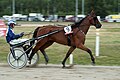 * Nomination: Seppo Markkula harnessing Mix Lex Pepper in Pori harness racing track. --kallerna 09:58, 16 December 2011 (UTC) * * Review needed