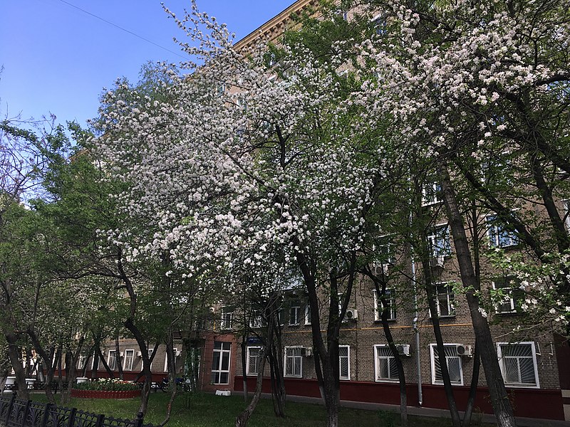 File:Profsoyuznaya Street 1-39, Moscow - 6779.jpg