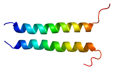 T-cell surface glycoprotein CD3 zeta chain