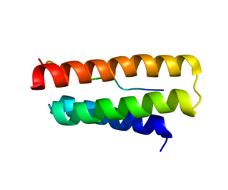 <span class="mw-page-title-main">CHMP6</span> Protein-coding gene in the species Homo sapiens