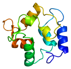 Protein OCM PDB 1omd.png