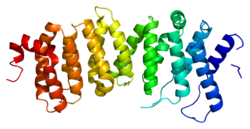 پروتئین PPP2R5D PDB 2jak.png