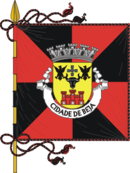 Bandeira de Município de Beja