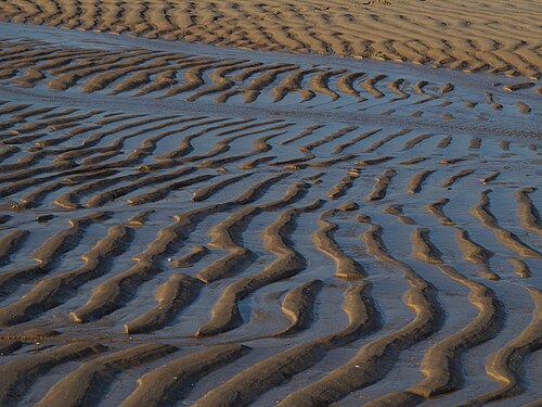 Ripple pattern created by waves on the seabed which becomes visible at low tide