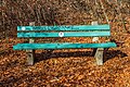 * Nomination Bench at the forest hiking trail «Glorietteweg» in Leonstein, Pörtschach, Carinthia, Austria -- Johann Jaritz 03:30, 17 December 2023 (UTC) * Promotion  Support Good quality. Could add a CAT for the graffiti --Tagooty 04:05, 17 December 2023 (UTC)