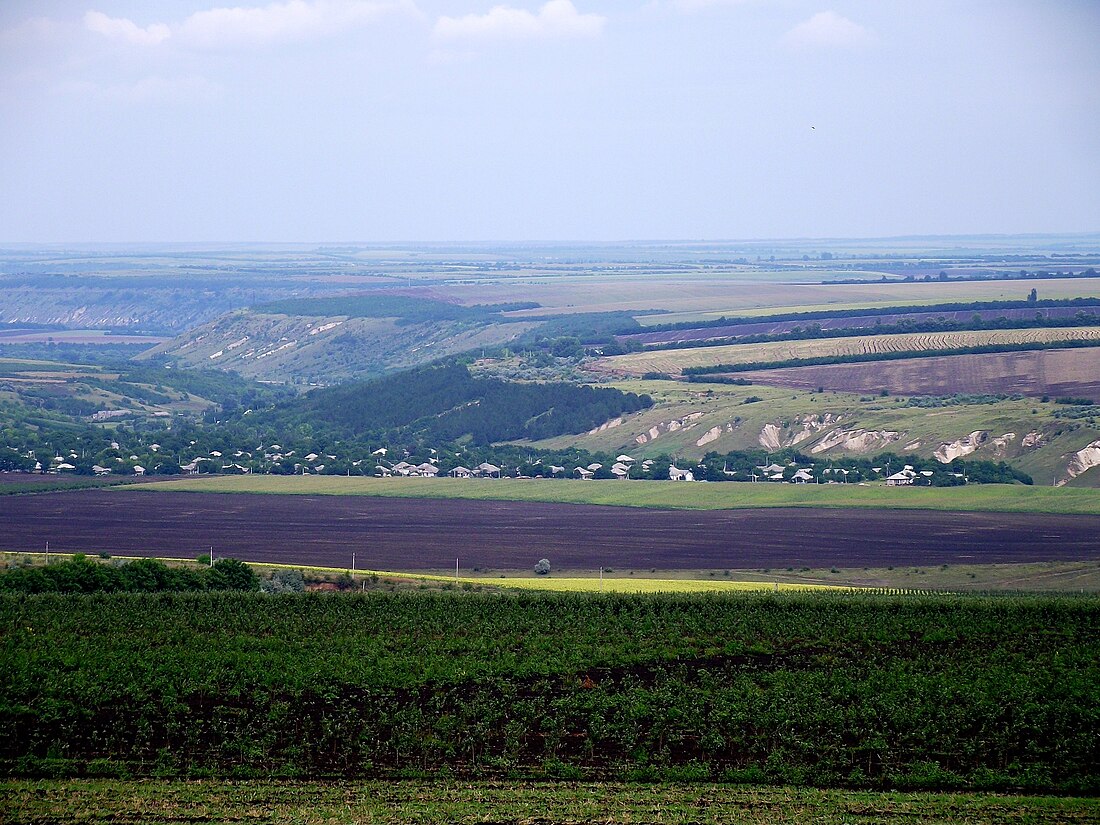 Soloneț, Soroca