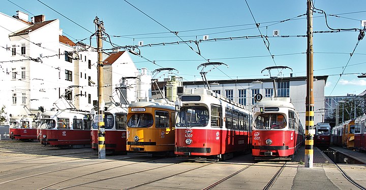 Trams in an open-air depot