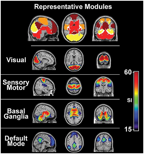 The visual system and the somatosensory system are active even during resting state fMRI