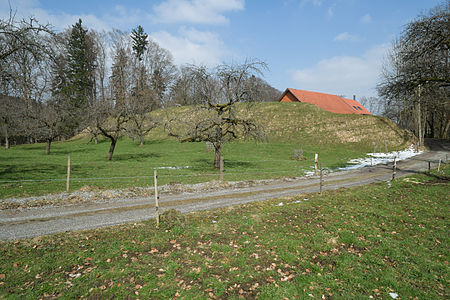 Rinkenburg Schmalegg 9487