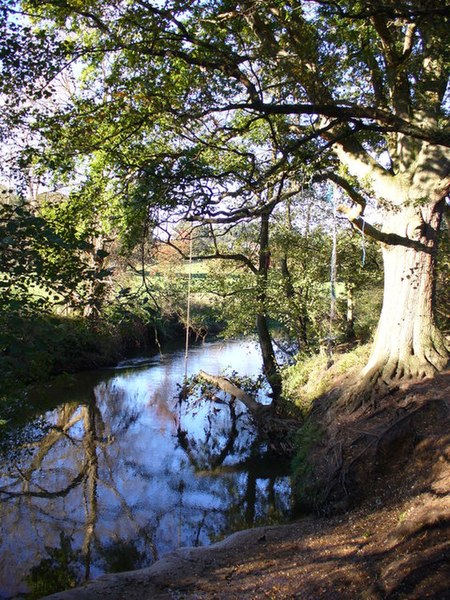 File:River Wey near Hankley Farm - geograph.org.uk - 272489.jpg