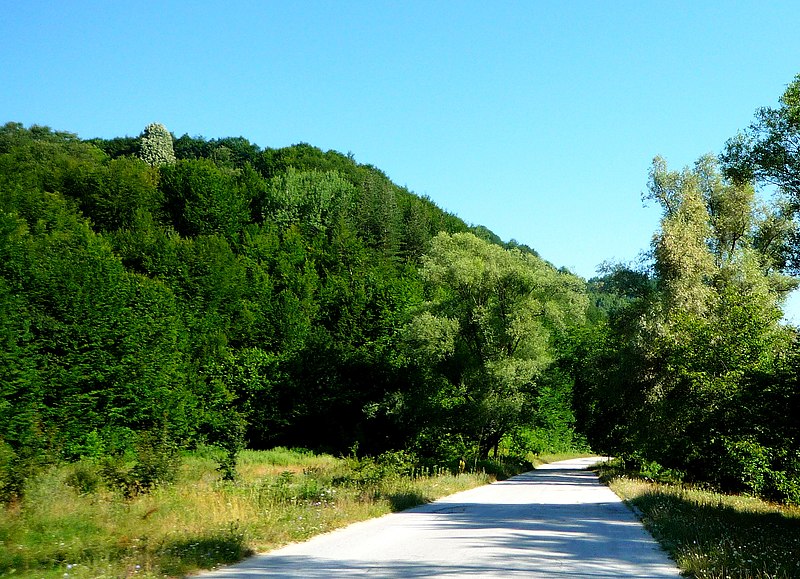 File:Road from Etropole to Yamna,пътят от Етрополе за с.Ямна и с.Черни Вит - panoramio.jpg