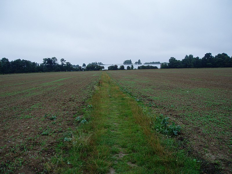 File:Route to Lake Lane - geograph.org.uk - 2029110.jpg