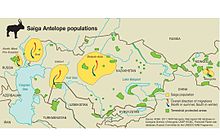 Areale attuale (giallo) e superficie delle aree protette (verde).