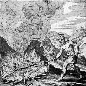 The legendary fire-dwelling Salamander in the Book of Lambspring in Lucas Jennis' Musaeum Hermeticum, 1679 edition Salamander from The Story of Alchemy and the Beginnings of Chemistry.jpg