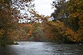 Salmon river - panoramio (3).jpg